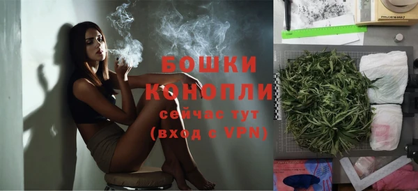 дурь Бородино