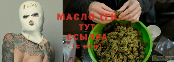 дурь Бородино