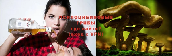 jwh Бугульма