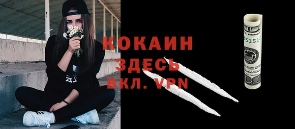 дурь Бородино