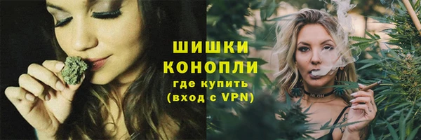 дурь Бородино